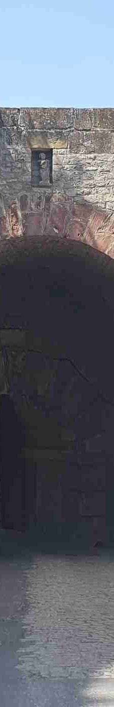 玛利亚堡-维尔茨堡-飞来飞去的人啊哈哈