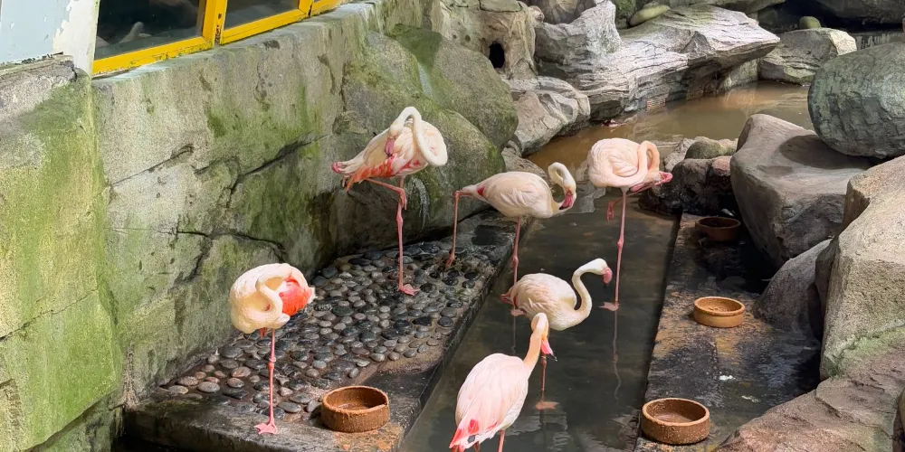 永安旅遊