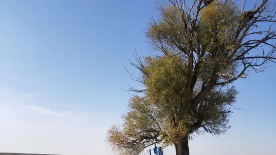 紫泥湖水庫