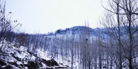 大虎嶺森林公園