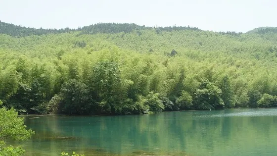 南山湖國家森林公園