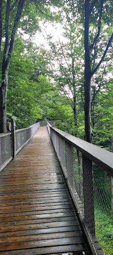 Grünbergseilbahn Gmunden-格蒙登