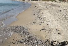 Istanbul Provincial Borders景点图片