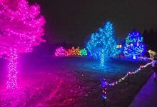 Overland Park Arboretum & Botanical Gardens景点图片