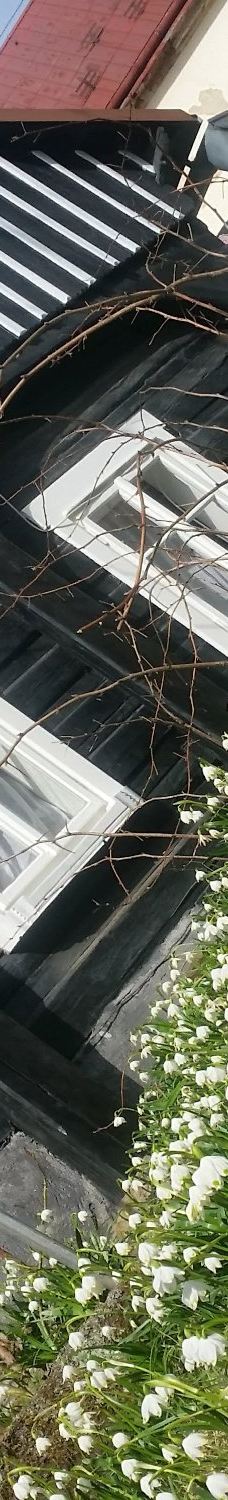 捷克瑞士国家公园-耶特克沃埃斯