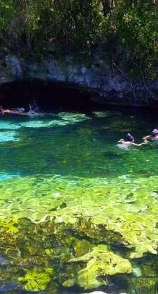 Cenote Azul-索里达瑞达德