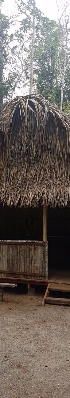 Parque Ambiental Chico Mendes-里奥布朗库