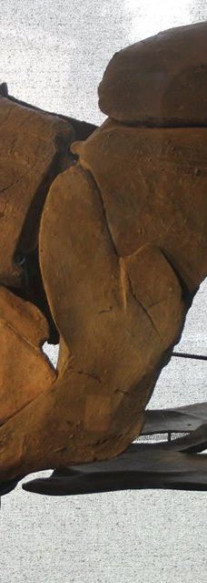 Musee des Dinosaures 'Dinosauria'-埃斯佩拉扎