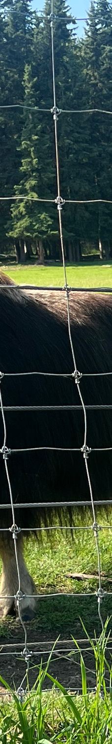 Large Animal Research Station-科利奇