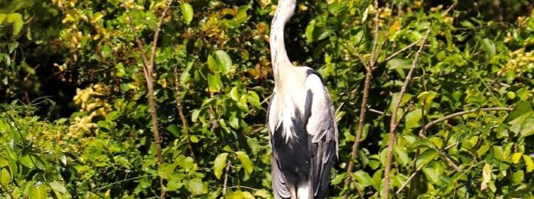 1344432384