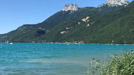 Reserve Naturelle du Bout du Lac