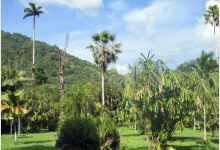 Holywell Park景点图片