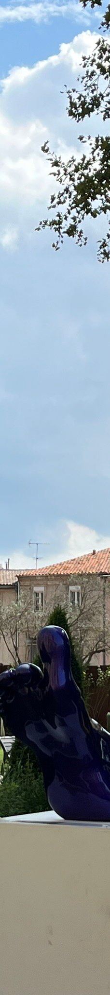 Narbonne Cathedral-纳巴达