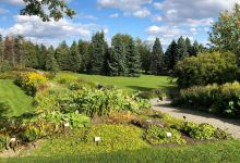 特隆赫姆植物园景点图片