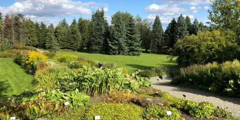 特隆赫姆植物園