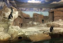 Ocean Aquarium景点图片