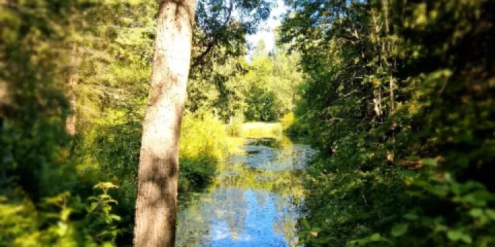 Pereslavskiy Arboretum Named After S.F. Kharitonov