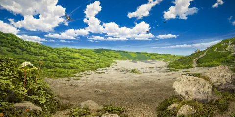 栃木縣立博物館