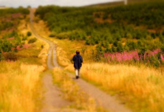 St Caireall’s Chruch Ruin Magherakeel景点图片