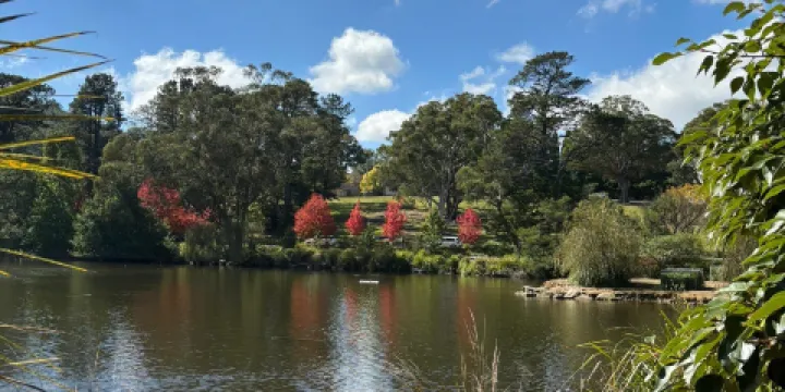 Lake Alexandra Reserve