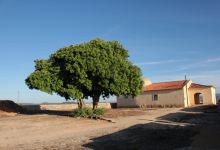 São Vicente Fort景点图片