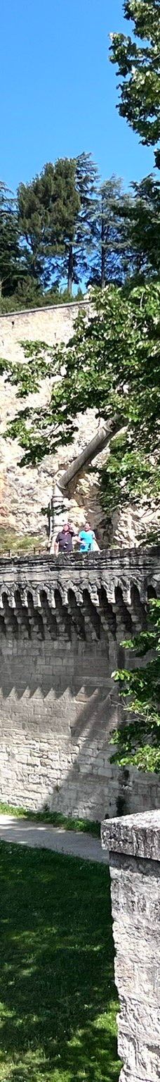 阿维尼翁城墙-阿维尼翁