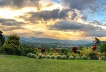 Finca El Piura景点图片