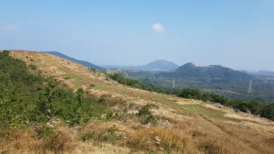 百藥岳