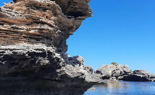 海豹島