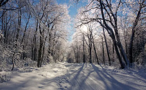 Laurel Summit State Park