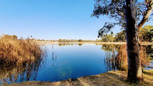 Modderfontein Reserve