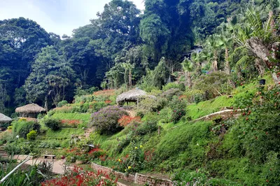 DOIPUI WATERFALL GARDEN