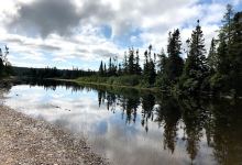 Mint Brook RV Park and Campgrounds景点图片