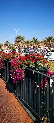 Arènes El Cordobes-朗格多克—鲁西永