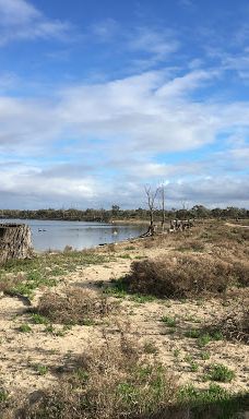 Kings Billabong-米尔迪拉