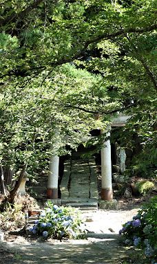 Cat's Shrine-高畠町
