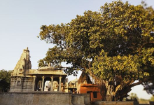 Shiva Temple景点图片