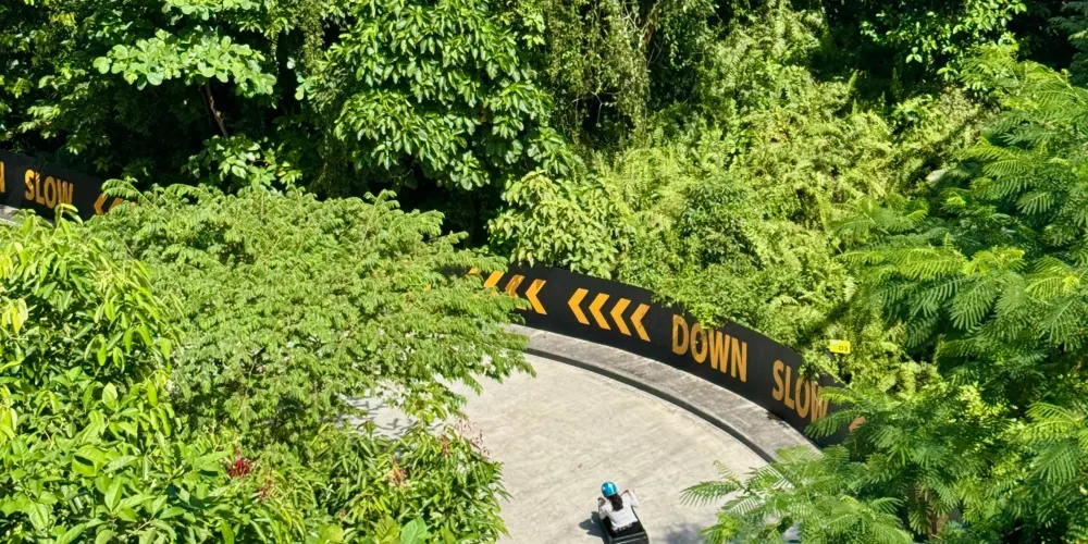 永安旅遊