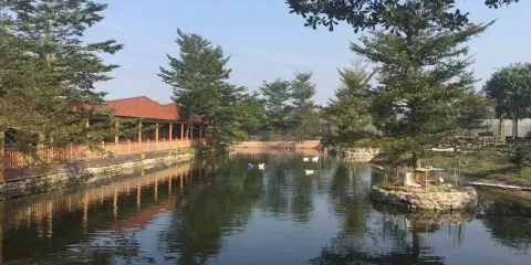 亞維濃生態園