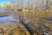 Swift River Walking Trail景点图片
