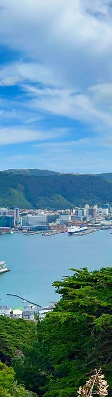 维多利亚山-惠灵顿