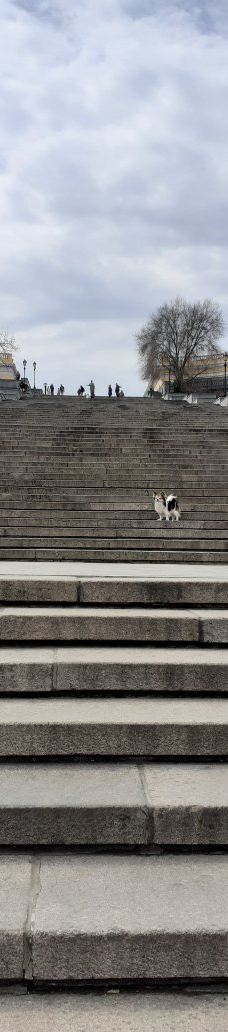 波将金阶梯-敖德萨