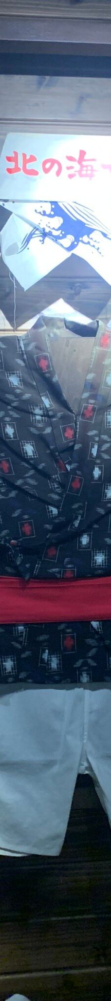 仙台海洋森林水族馆-仙台