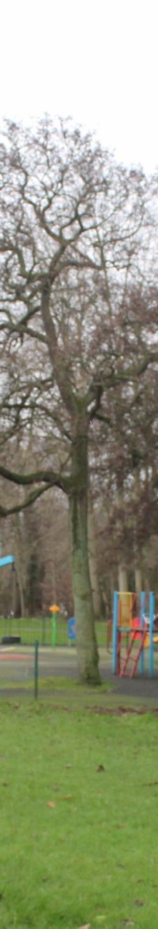 Hazelbank Park-纽敦阿比