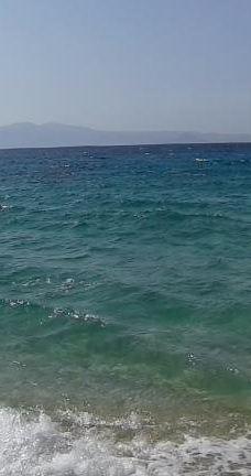 Cedar Forest of Alyko-纳克索斯