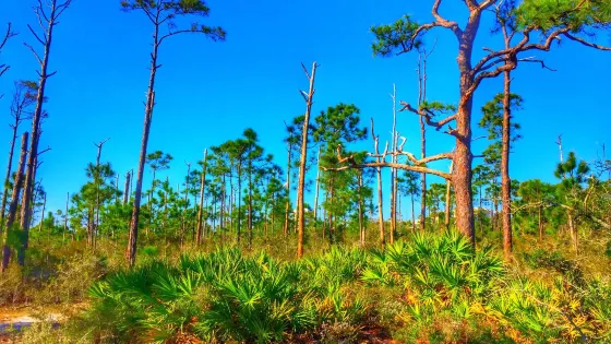 Gulf Islands National Seashore