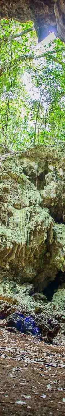 Grotte de Hortense-松树岛