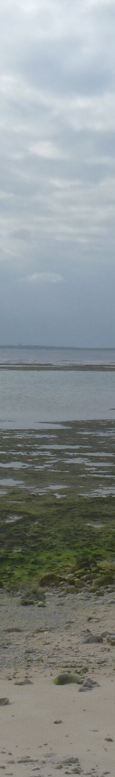 中本海岸-竹富町