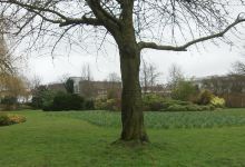 Crawley Memorial Gardens景点图片