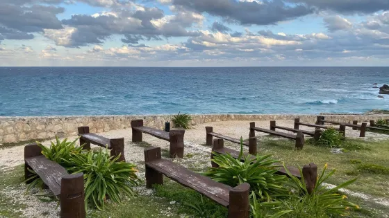Shark Beach